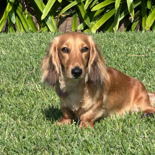 Photo of Sophie