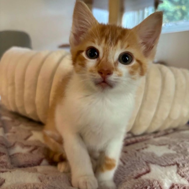 Photo of Monty