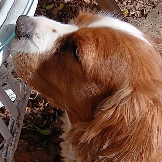 Photo of Matilda 