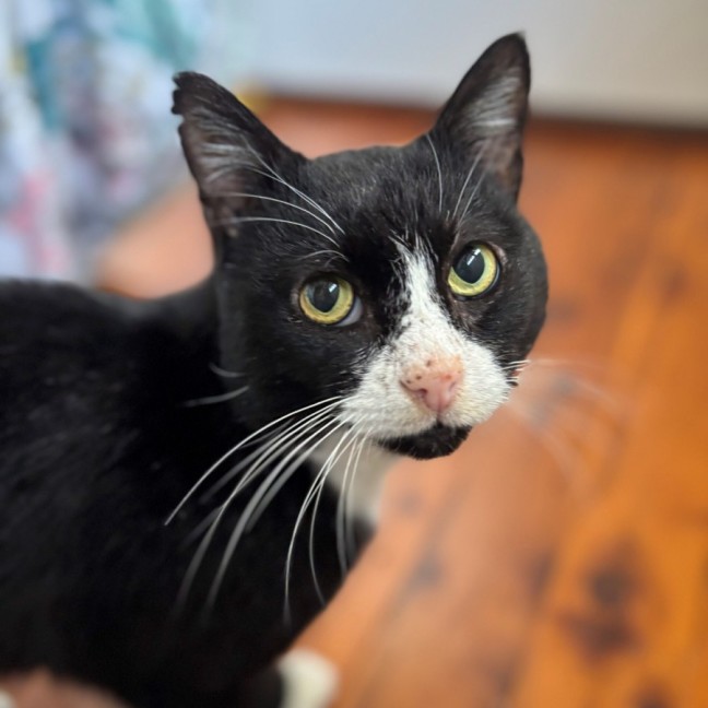 Photo of Bartholomew