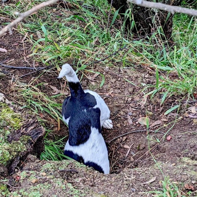 Photo of Giuseppe (Pep/Pepino/Pepe)