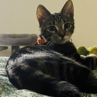 Photo of Salt