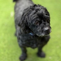 Photo of Kiki
