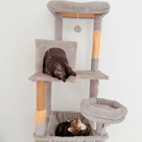 Photo of Nellie