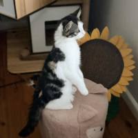 Photo of 🧚Elfina🧚‍♂️