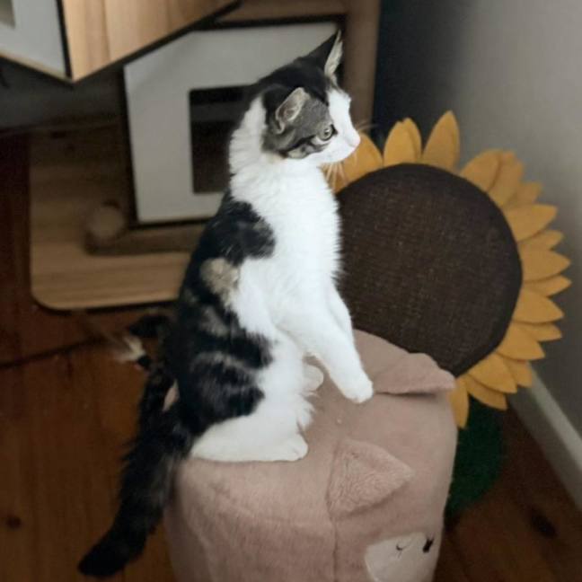 Photo of 🧚Elfina🧚‍♂️