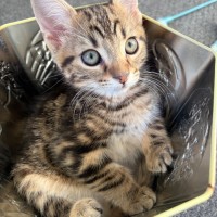 Photo of Diego