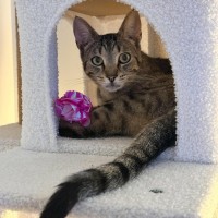 Photo of Lulu