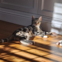 Photo of Charlotte