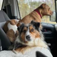 Photo of Bonus