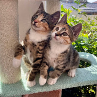 Photo of 🧡 Dory 🧡