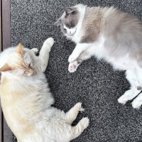 Photo of Cloudi And Zani