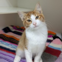 Photo of 🌞 Sunny 6751 🌞