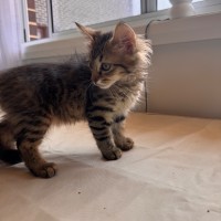 Photo of Huey