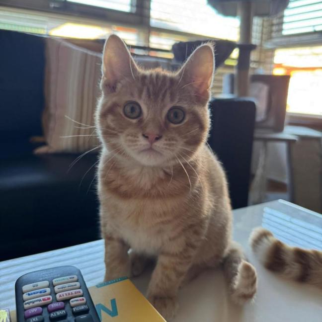 Photo of Zeus