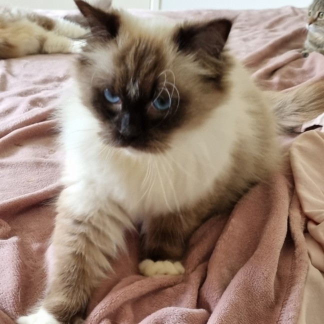 Photo of Neo