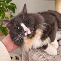 Photo of Spud