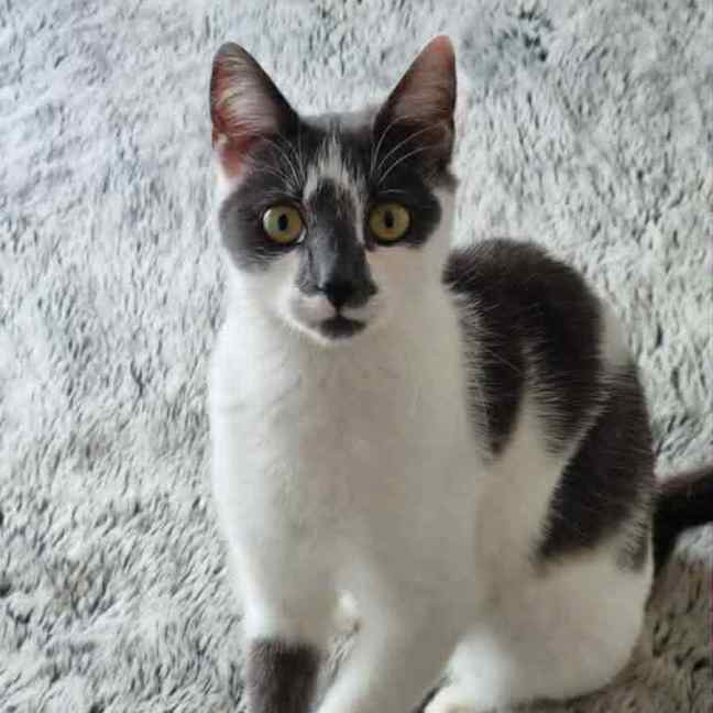 Photo of Kumori