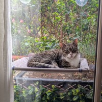 Photo of Benny