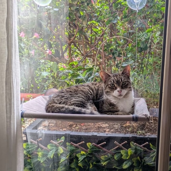Photo of Benny