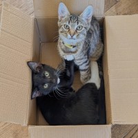 Photo of Millie & Zoe