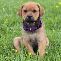 Photo of Arya