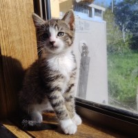 Photo of Leonard