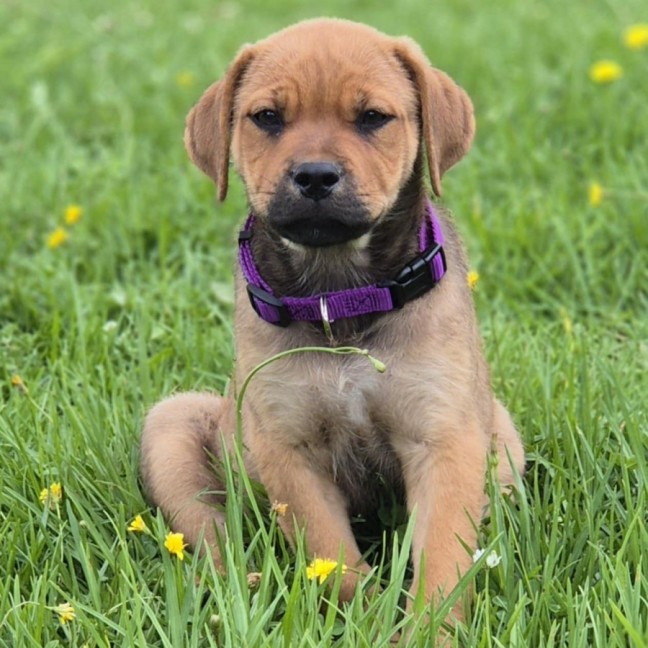 Photo of Arya