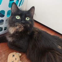 Photo of Jelly Belly