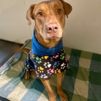 Photo of Doug 