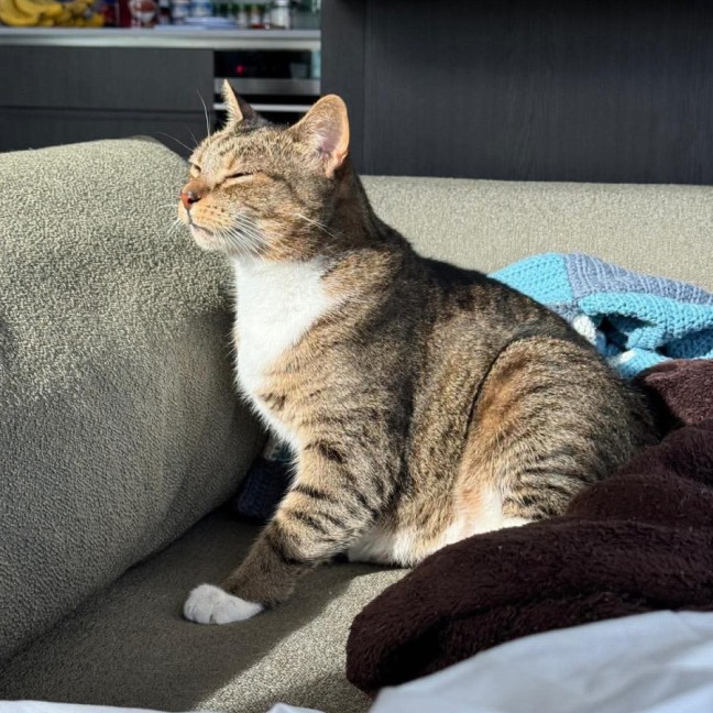 Photo of Myrtle