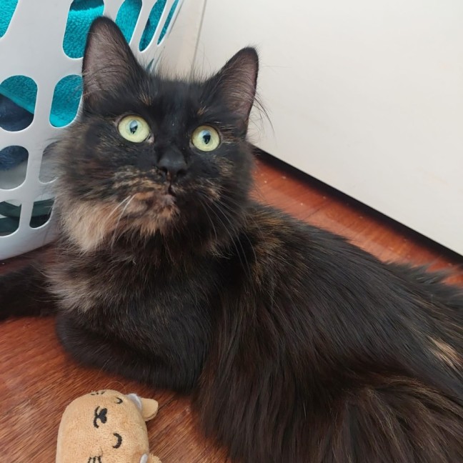 Photo of Jelly Belly