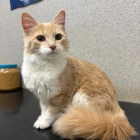 Photo of Lydia