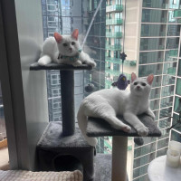 Photo of Louie & Nina