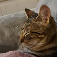 Photo of Ginge & Sprout