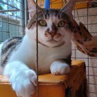 Photo of Thor. A Laugh A Minute!