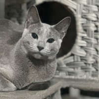 Photo of Elani 😻👑