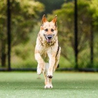 Photo of Maya