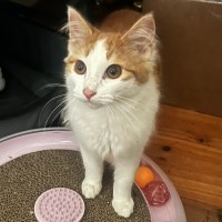 Photo of Murphy