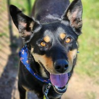 Photo of 🐻 Bear 6502 🐻