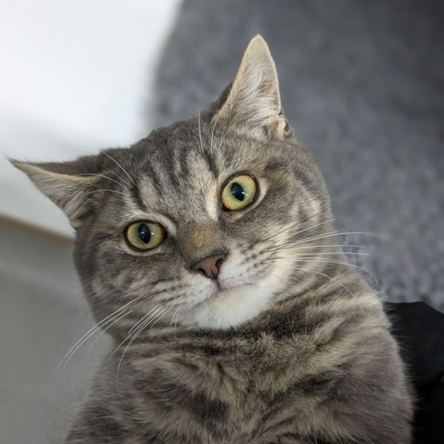 Photo of 👾 Chops 5440 👾