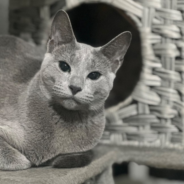 Photo of Elani 😻👑