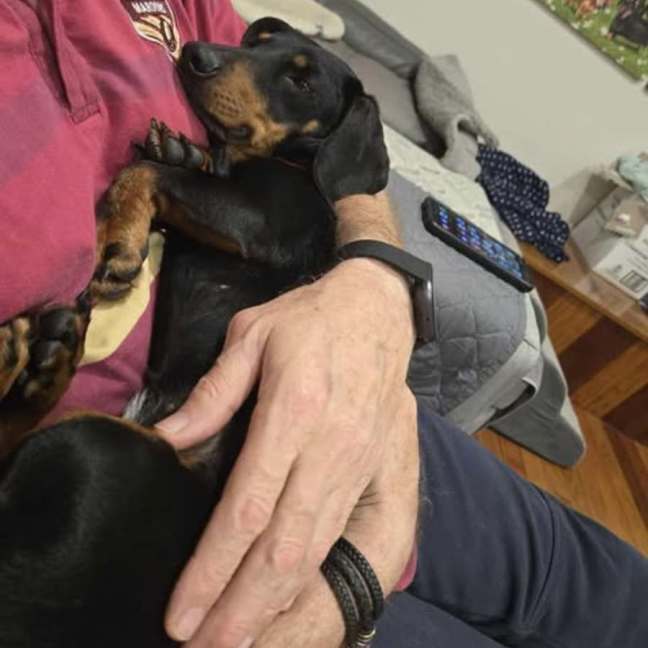 Photo of Mini Winnie