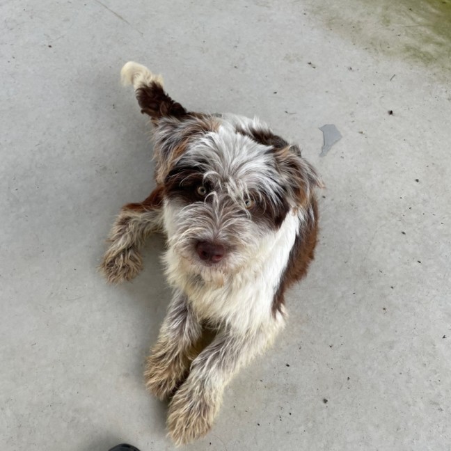 Photo of Bentley