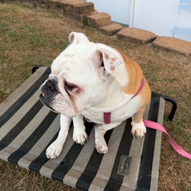Photo of Betty