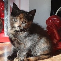 Photo of Blanch 🌸