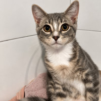 Photo of Sooty