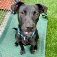 Photo of D1044 Marley