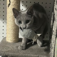 Photo of Elani 😻👑