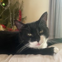 Photo of Meg